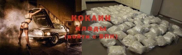 шишки Абинск