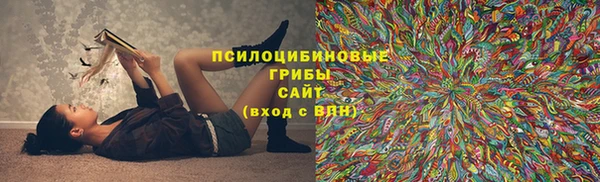 стаф Горняк